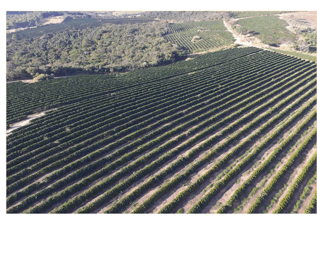 Fazenda da Cruz